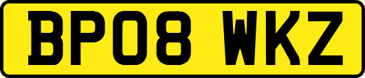 BP08WKZ