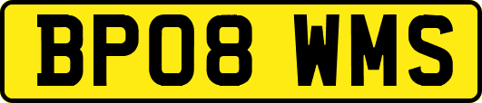 BP08WMS