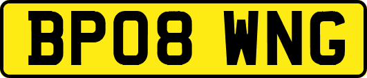 BP08WNG