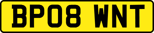 BP08WNT