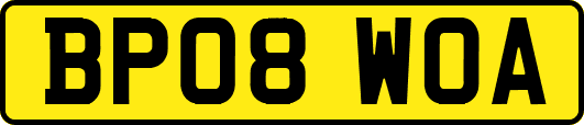 BP08WOA