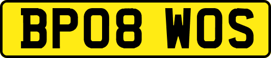 BP08WOS
