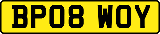 BP08WOY