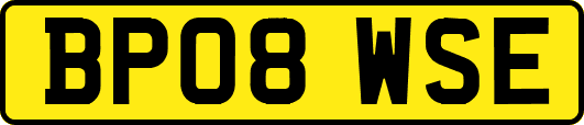 BP08WSE