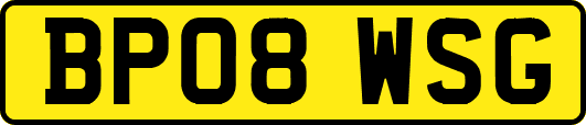 BP08WSG