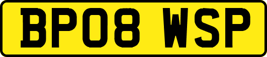 BP08WSP