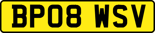 BP08WSV