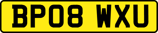 BP08WXU