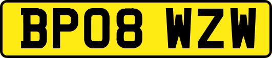 BP08WZW
