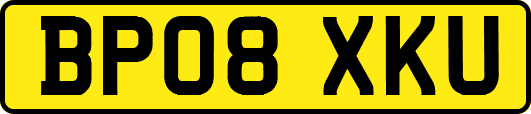 BP08XKU