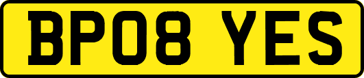 BP08YES