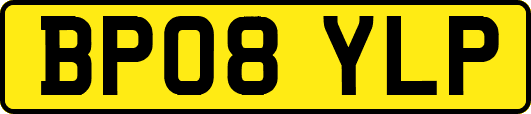 BP08YLP