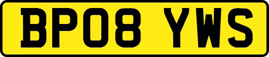 BP08YWS