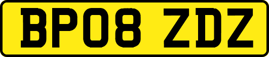 BP08ZDZ