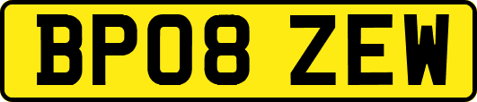 BP08ZEW