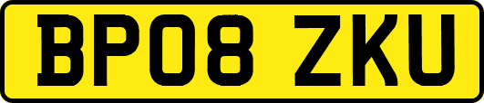 BP08ZKU