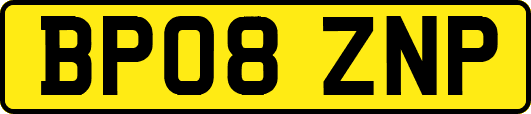 BP08ZNP
