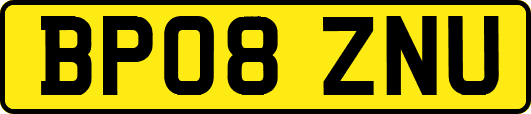 BP08ZNU