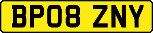 BP08ZNY