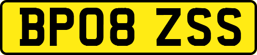BP08ZSS