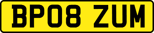 BP08ZUM