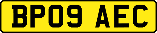 BP09AEC