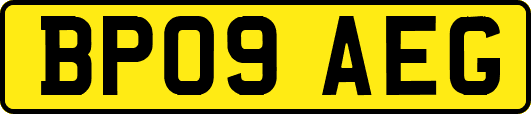 BP09AEG