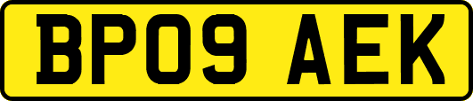 BP09AEK
