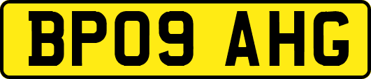 BP09AHG