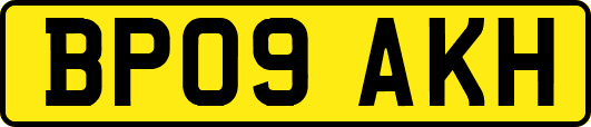 BP09AKH