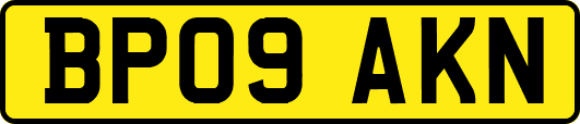 BP09AKN