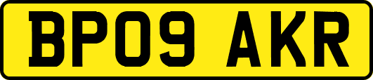 BP09AKR
