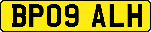 BP09ALH