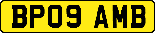 BP09AMB