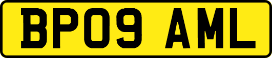 BP09AML