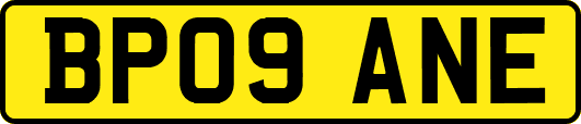 BP09ANE