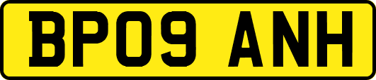 BP09ANH