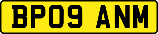 BP09ANM