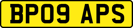 BP09APS
