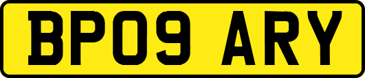 BP09ARY