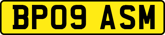 BP09ASM