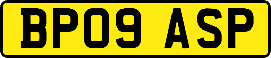 BP09ASP