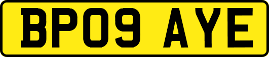 BP09AYE