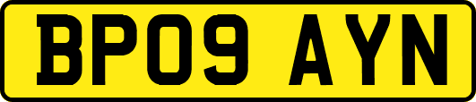BP09AYN