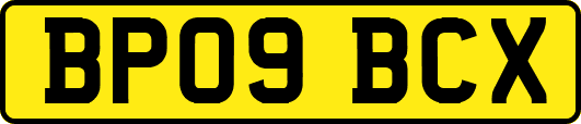 BP09BCX