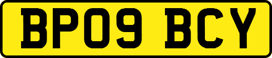 BP09BCY