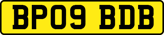 BP09BDB