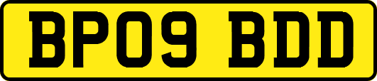 BP09BDD