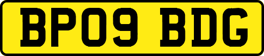 BP09BDG