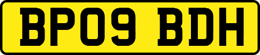 BP09BDH